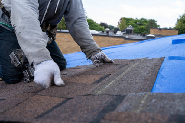 Quick and Trustworthy Emergency Roof Repair Services in Teviston, CA