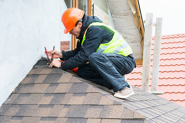 Roof Gutter Cleaning in Teviston, CA