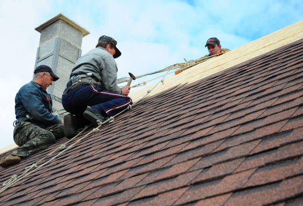 Best Roof Gutter Cleaning  in Teviston, CA